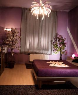 HAUS KITTY - Bild 7 von 7